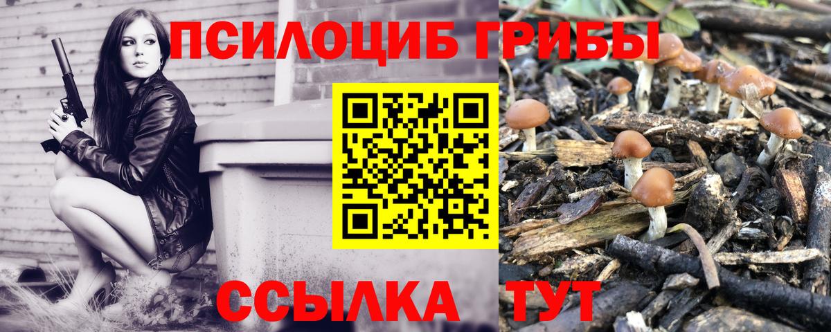 Псилоцибиновые грибы Psilocybe  даркнет сайт  Удомля  Вход с VPN 